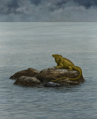 iguana, rocks, gray seascape