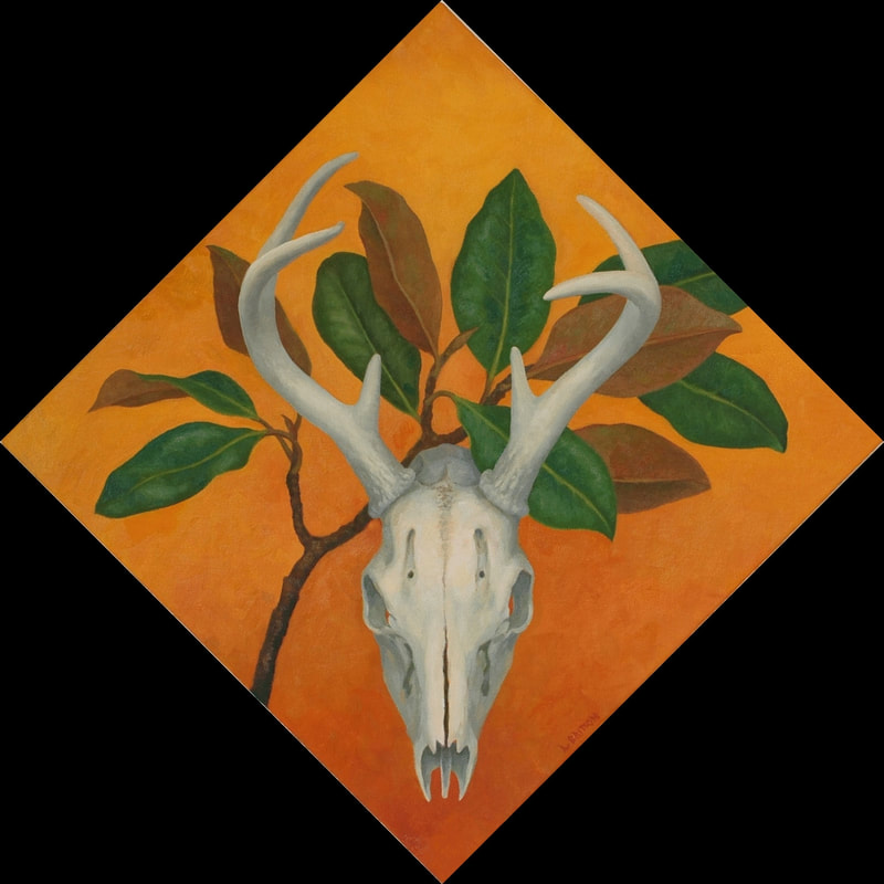 deer skull, magnolia branch